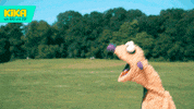 confused oh no GIF by KiKA