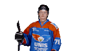 unisflyers goal eagles flyers nederland Sticker