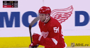 Ice Hockey Sport GIF by Detroit Red Wings
