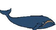 whale STICKER