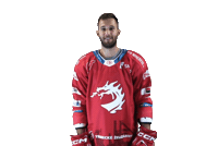 Hockey Trinec Sticker by HC Oceláři Třinec