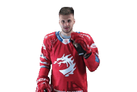 Hockey Trinec Sticker by HC Oceláři Třinec