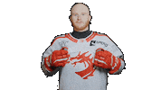 Flynn Trinec Sticker by HC Oceláři Třinec
