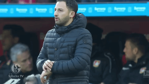 GIF by FC Schalke 04