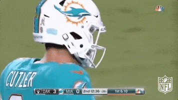 Miami Dolphins Football GIF by NFL