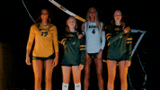 Volleyball Bison GIF by NDSU Athletics