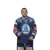 Hockey Swipe Up Sticker by HC Škoda Plzeň