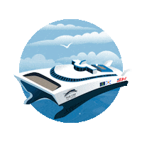nflbayferries cat usa america canada Sticker