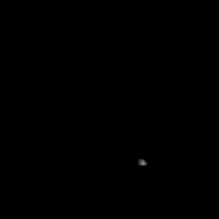Nubspain 4 GIF