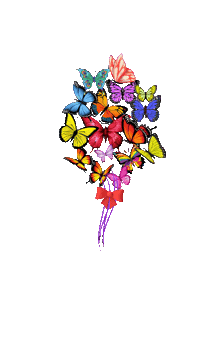 elistorycriativo elistorycriativo borboletas Sticker