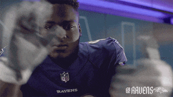 Football Celebrate GIF by Baltimore Ravens