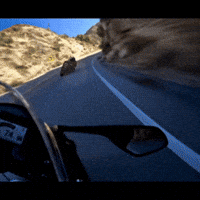 Bike Motogp GIF