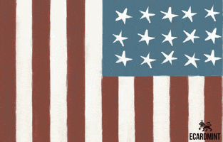 ecardmint usa america july independence day GIF