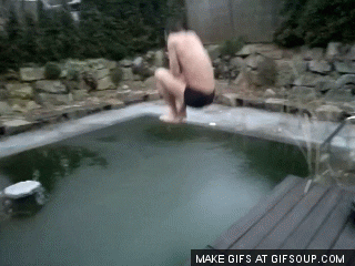 buffalo yesterday GIF