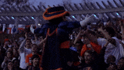 Fans Students GIF by Virginia Athletics