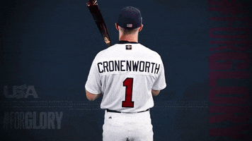 Pro GIF by USA Baseball