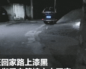 cuteanimalland giphyupload GIF