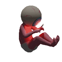 Youtube Animation Sticker by TRIPPIESTEFF