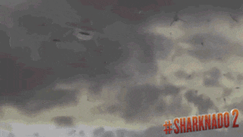 GIF by Sharknado 2