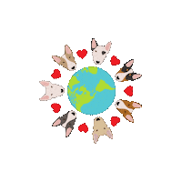 BullTerrierWorld love dog animals animal Sticker