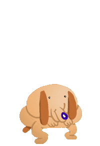 Happy Dog Sticker by Neil Sanders