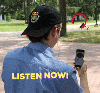 The_Why_and_How_Podcast podcast why how listen now GIF