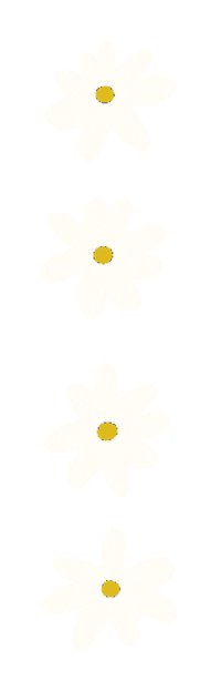 liviafalcaru nature flower flowers plant Sticker