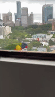 You All Right, Mate? Rainbow Lorikeets Investigate Silent Lookalike Toy