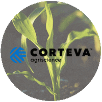 cortevaus corn farmer farming corteva Sticker