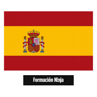 Flag Pixel Art Sticker by Formación Ninja