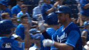 duda bash GIF by MLB