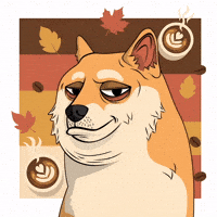 Shiba Inu Dog GIF by Doge Pound