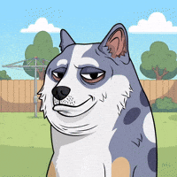 Tired Australian Cattle Dog GIF by Doge Pound