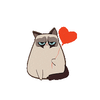Grumpy Cat Sticker by Phorest Salon Software