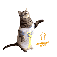 cat Sticker