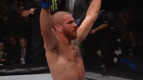 ufc 213 GIF