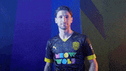 Meow Wolf Home Kit GIF by New Mexico United
