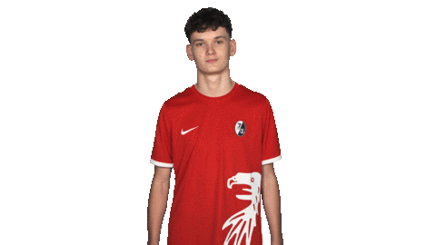 Sc Freiburg Sign Sticker by Bundesliga