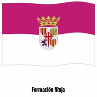Castilla-La Mancha Bandera GIF by Formación Ninja