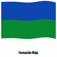 Comunidad De Madrid Flag GIF by Formación Ninja
