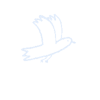 Fly Jenay Sticker