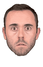 Face Wow Sticker