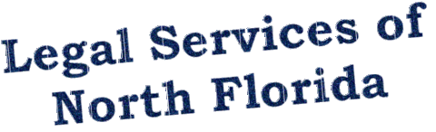 LSNFJustice giphyupload justice legal services lsnf Sticker