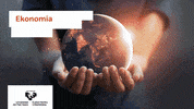 UPVEHU master posgrado ehu postgrado GIF