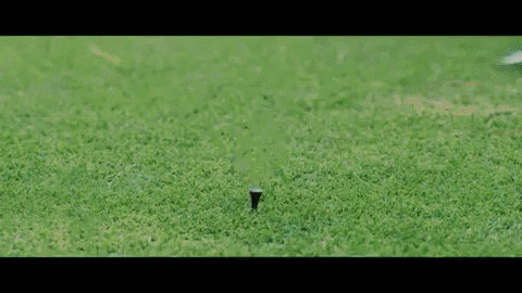 majorworld giphygifmaker GIF