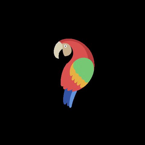 loreandofest lorito GIF