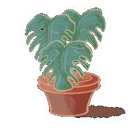 Loop Plant Sticker