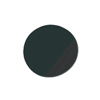 Color Circle Sticker