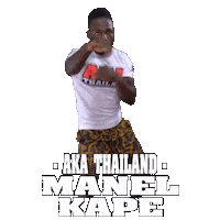 The Rock Fight Sticker by AKA Thailand