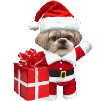 Shih Tzu Party Sticker